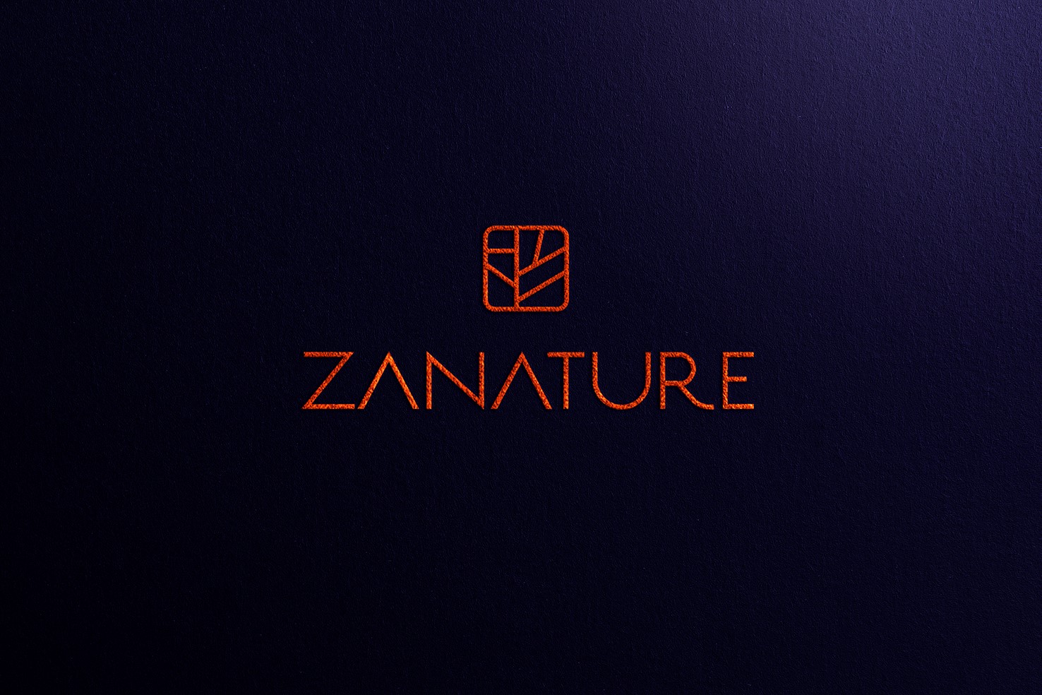 Poznaj markę Zanature